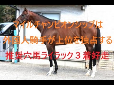 マイルチャンピオンシップは外国人騎手が上位を独占する！！推奨穴馬ライラック好走
