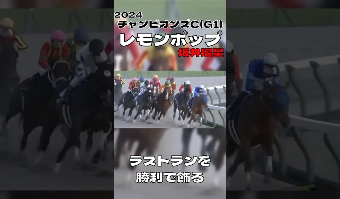 チャンピオンズカップ レモンポップ 坂井瑠星 国内G1無敗で有終の美を飾る 2024#競馬 #競馬予想 #馬 #shorts