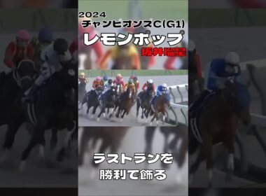 チャンピオンズカップ レモンポップ 坂井瑠星 国内G1無敗で有終の美を飾る 2024#競馬 #競馬予想 #馬 #shorts