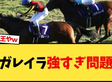 【エリザベス女王杯】レガレイラ強すぎ問題ｗ【競馬反応集】