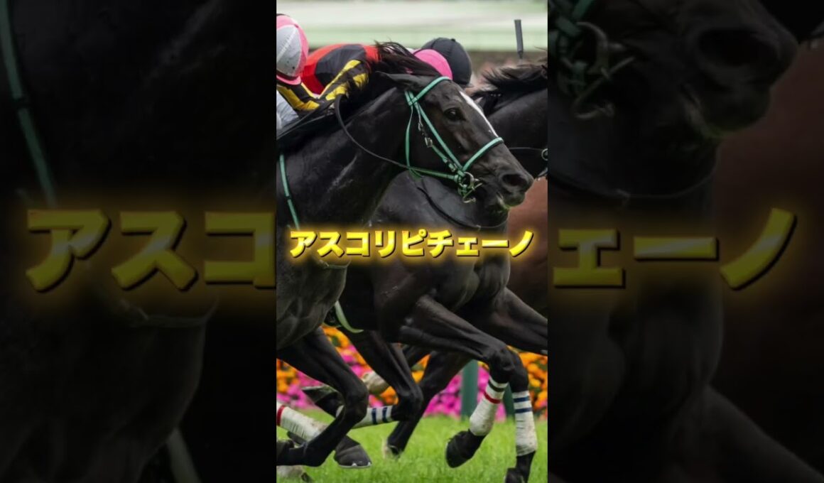 G1マイルチャンピオンシップの注目馬を3頭紹介＃競馬＃競馬予想＃ジャンタルマンタル＃アスコリピチェーノ＃ソウルラッシュ