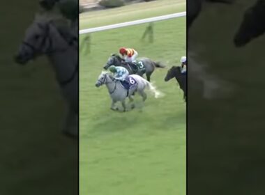 #マイルCS #G1 #競馬 #京都競馬場 #マイルチャンピオンシップ #ガイアフォース #ジャンタルマンタル #ソウルラッシュ