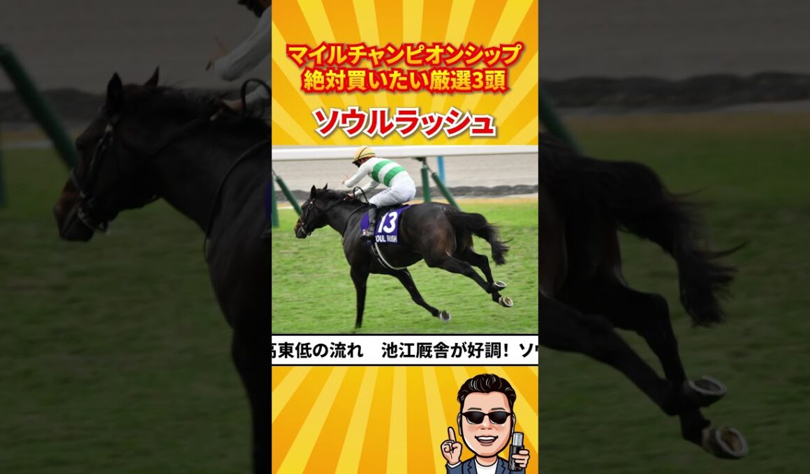 【競馬予想】マイルチャンピオンシップ絶対買いたい厳選3頭！#マイルCS#競馬予想 #shorts