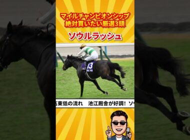 【競馬予想】マイルチャンピオンシップ絶対買いたい厳選3頭！#マイルCS#競馬予想 #shorts