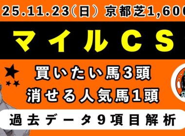 【マイルチャンピオンシップ2025】過去データ10項目解析!!買いたい馬3頭と消せる人気馬1頭について(競馬予想)