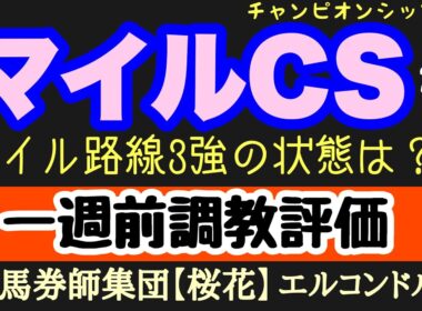 エルコンドル氏のマイルチャンピオンシップ2025一週前調教評価！！人気分けるであろう3強を形成する G1馬3頭の出来は！？3強崩し狙う馬達の状態にも注目！