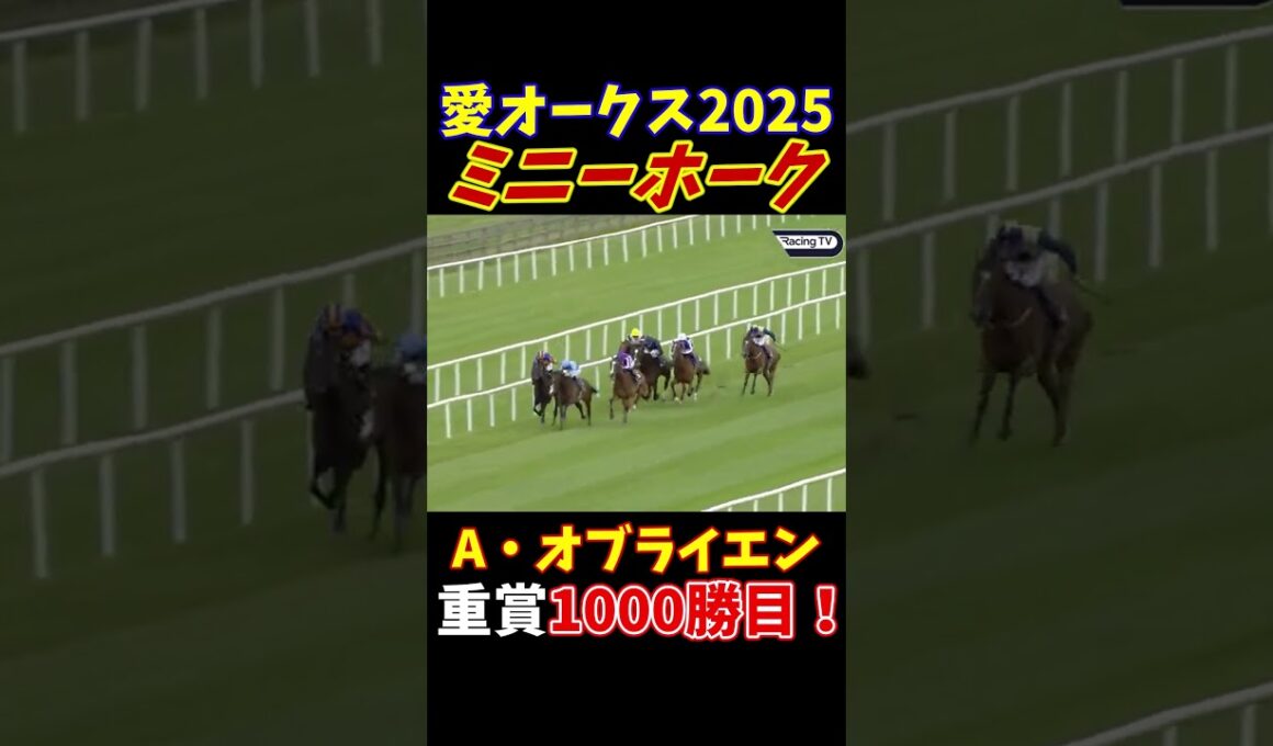 史上16頭目の英愛オークス馬誕生！第131回アイリッシュオークスはミニーホークが勝利！#競馬 #horseracing #オークス