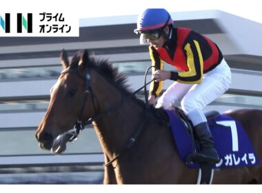 【エリザベス女王杯・GⅠ】「ベリーベリーホース」レガレイラがグランプリホースの貫禄見せつけ最強女王に！戸崎圭太騎手はついに鬼門を突破！