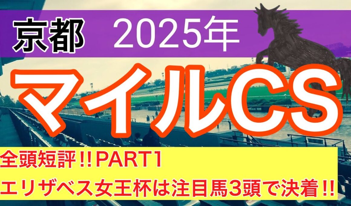 【マイルチャンピオンシップ2025】蓮の競馬予想(全頭短評PART1)