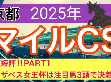 【マイルチャンピオンシップ2025】蓮の競馬予想(全頭短評PART1)