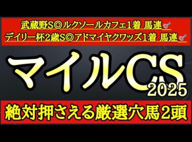 【マイルチャンピオンシップ2025】厳選穴馬！2頭とも想定10人気以下だが想定される展開や上積みから逆襲見込め要注目だ！
