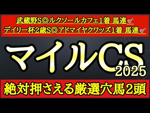 【マイルチャンピオンシップ2025】厳選穴馬！2頭とも想定10人気以下だが想定される展開や上積みから逆襲見込め要注目だ！