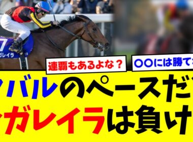 今年の有馬記念でレガレイラに勝てそうな馬【競馬】【反応集】