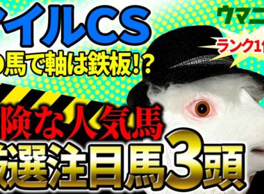 【マイルCS2025】2025年JRA全レース予想で収支プラス85万超！「霧プロ」の厳選注目馬＆危険な人気馬を特別公開！