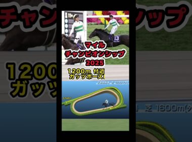 【マイルチャンピオンシップ2025】