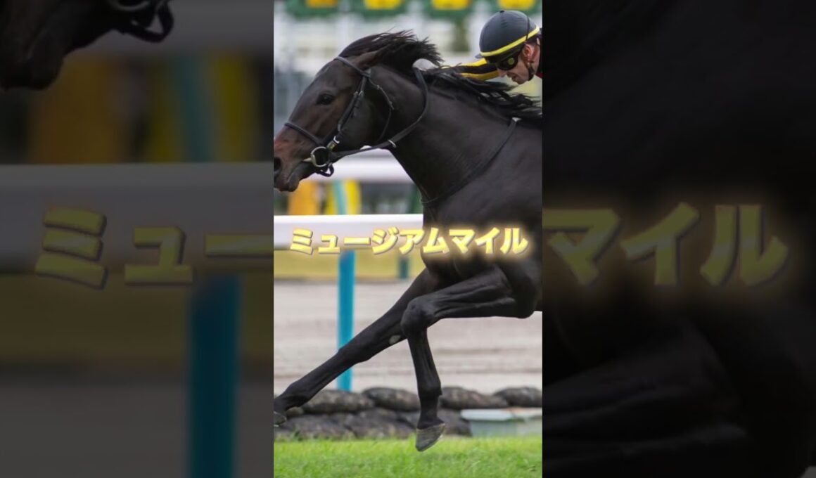 G1朝日杯FSの注目馬３頭を紹介＃競馬＃競馬予想＃アルテヴェローチェ＃ミュージアムマイル＃アルレッキーノ