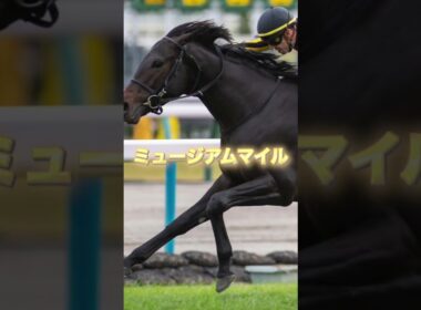 G1朝日杯FSの注目馬３頭を紹介＃競馬＃競馬予想＃アルテヴェローチェ＃ミュージアムマイル＃アルレッキーノ