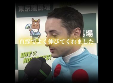 常識を壊した馬 #競馬 #ルメール #ジャパンカップ #アーモンドアイ