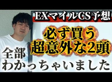 【競馬予想】マイルCS全部わかっちゃいました【福島記念】