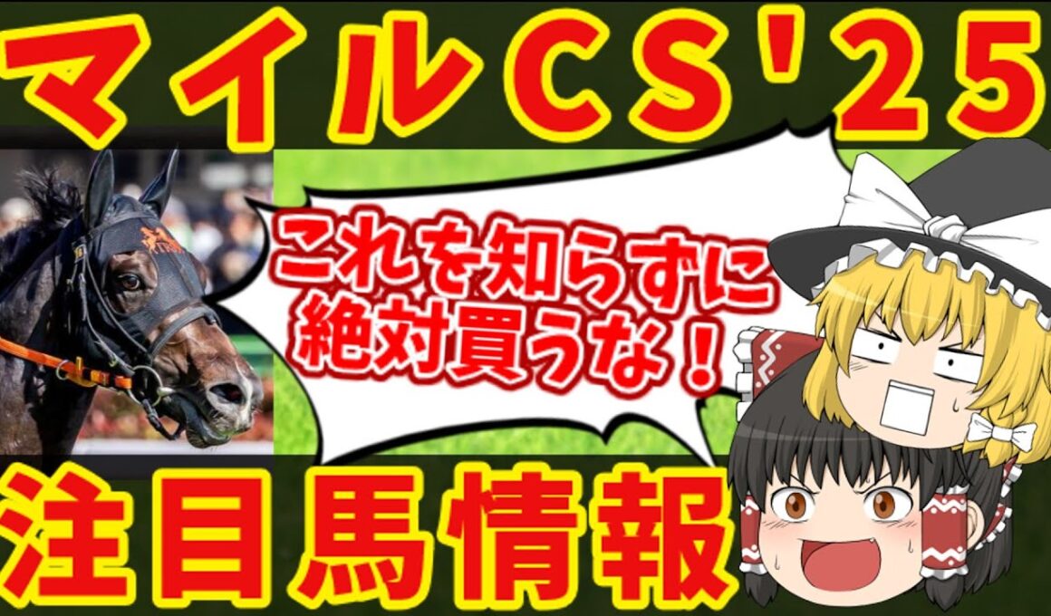 【マイルCS】意外な本命で攻めていく！知らないと損をする注目馬の情報！！