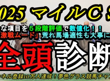 【全頭診断】2025マイルチャンピオンシップ！ハイレベルの激戦模様で各馬の特徴を掴もう！荒れ馬場適性も大事に！