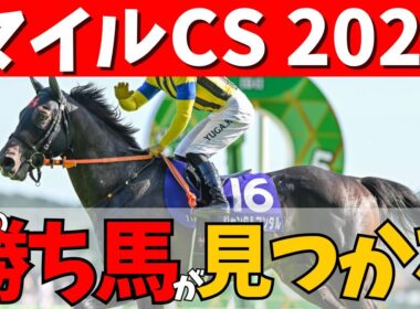 【マイルチャンピオンシップ 2025】G1解説🏇🎯豪華メンバーの中、カロリーさんの気になる馬は？！#競馬系vtuber