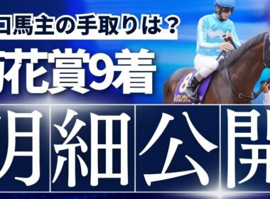 【明細公開】出資馬が菊花賞で9着だった時の一口馬主の手取りは？