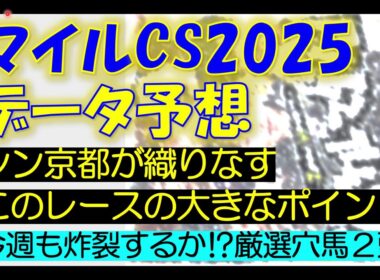 マイルチャンピオンシップ2025　データ予想