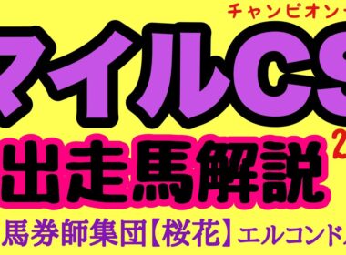 エルコンドル氏のマイルチャンピオンシップ2025出走馬解説！！マイルの G1馬3強集結！マイル路線今年最大の大一番！