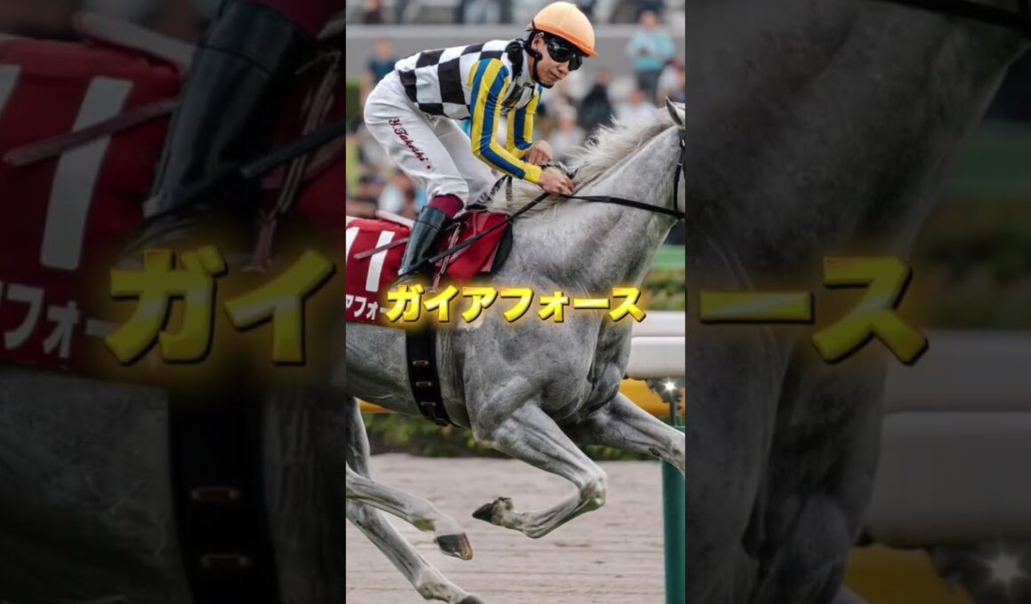 G1マイルチャンピオンシップの穴馬を3頭紹介＃競馬＃競馬予想＃ウインマーベル＃ガイアフォース＃マジックサンズ