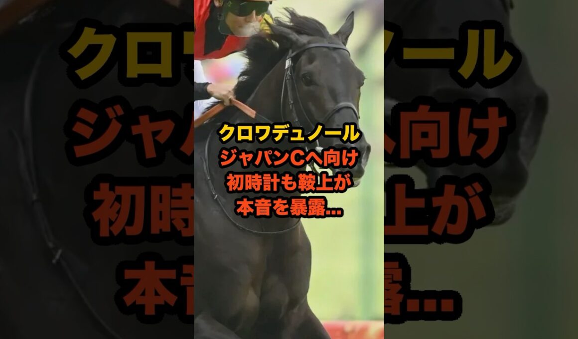 クロワデュノール、ジャパンカップ参戦なるか？欧州最強馬との対決も…#競馬 #ジャパンカップ #ジャパンC #クロワデュノール