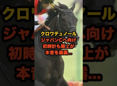 クロワデュノール、ジャパンカップ参戦なるか？欧州最強馬との対決も…#競馬 #ジャパンカップ #ジャパンC #クロワデュノール