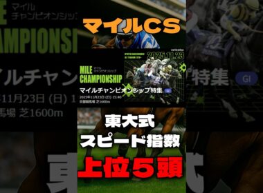 【マイルチャンピオンシップ２０２５】東大式スピード指数による競馬予想