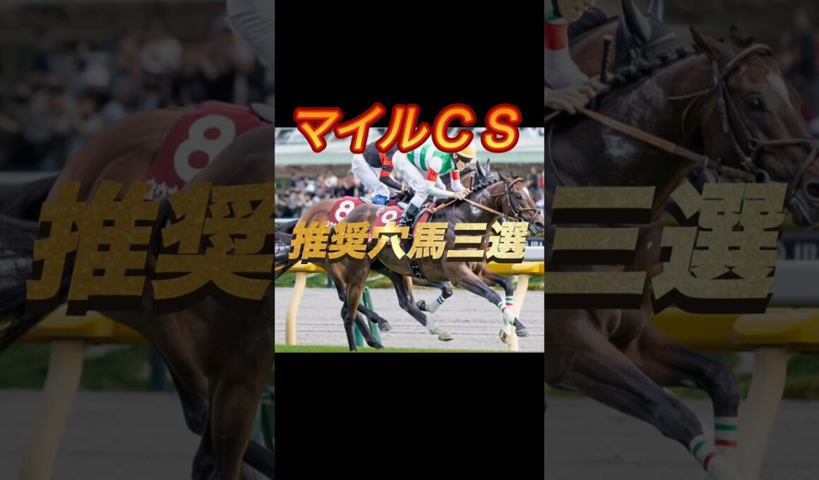 マイルチャンピオンシップ2025 推奨穴馬三選