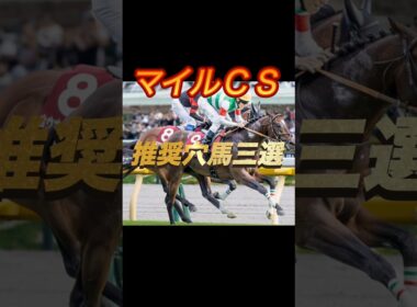 マイルチャンピオンシップ2025 推奨穴馬三選