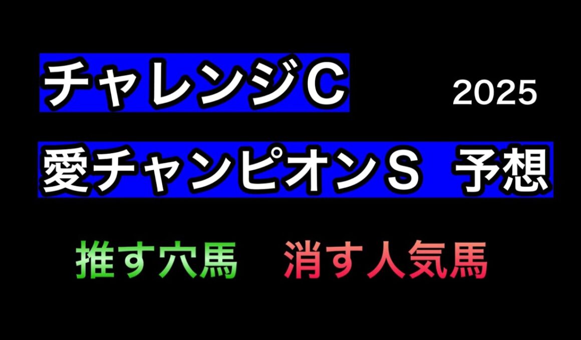 【競馬予想】　チャレンジカップ　愛チャンピオンステークス　予想　2025