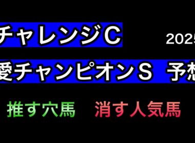 【競馬予想】　チャレンジカップ　愛チャンピオンステークス　予想　2025