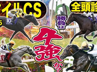 《東スポ競馬ニュース》【マイルＣＳ２０２５】全頭診断！今年も混戦必死のマイルＣＳ！４強の戦いになるのか？いやいや人気薄にももちろん妙味アリ！全１８頭を競馬記者が徹底解説！！！