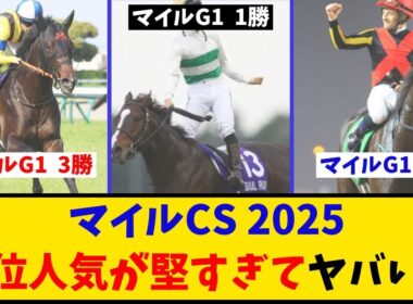 【マイルCS】「出走予定馬 上位人気が堅すぎてヤバい…」に対するみんなの反応【反応集】