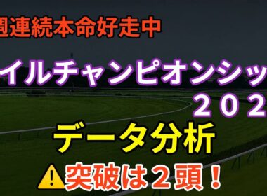 マイルチャンピオンシップ２０２５〜データ分析〜