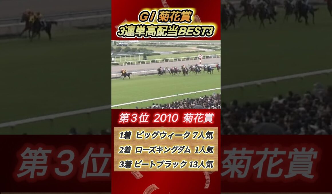 菊花賞3連単高配当ランキングBEST3！　#競馬  #菊花賞  #3連単  #shorts