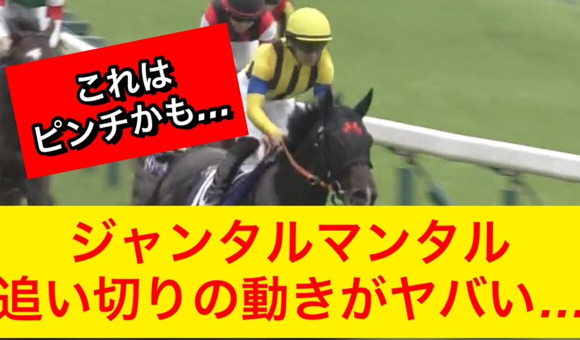 【マイルチャンピオンシップ2025】ジャンタルマンタルの追い切りの動きがヤバい…ピンチか！？【競馬の反応集】