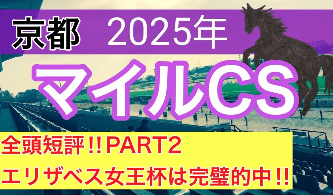 【マイルチャンピオンシップ2025】蓮の競馬予想(全頭短評PART2)