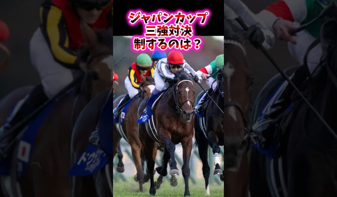 ジャパンカップ、三強対決実制するのは？【競馬反応集】#クロワデュノール　#マスカレードボール　#ダノンデサイル