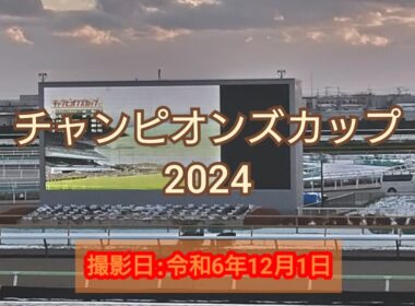 【競馬/Horse Racing】チャンピオンズカップ2024 in 函館競馬場/The Champions Cup 2024 in Hakodate Racecourse