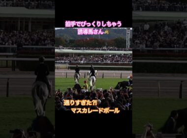 すごい歓声‼️びっくりする誘導馬さん🐴#2025  #天皇賞秋 #誘導馬 #東京競馬場 #馬 #horse #history