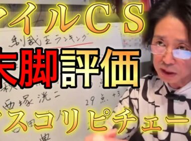 【マイルチャンピオンシップ】ヴィクトリアマイルで見せたアスコリピチェーノの末脚の破壊力とは