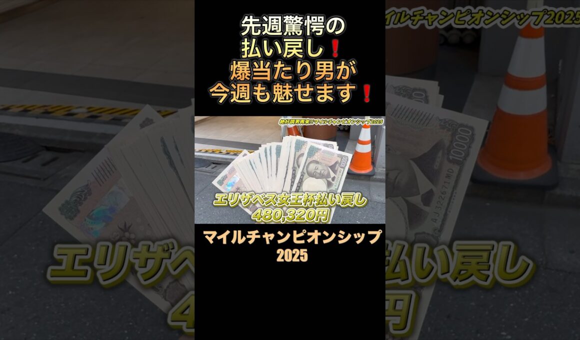 エリザベス女王杯48万的中🎯❗️マイルチャンピオンシップは100%の自信⁉️#マイルチャンピオンシップ2025 #競馬 #過去10年 #過去傾向