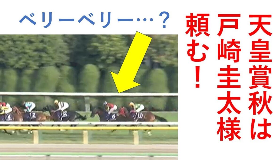 天皇賞秋は戸崎圭太、リーディンジョッキー頼む！ 毎週150万円勝負男の激闘譜2025　2025年11月2日