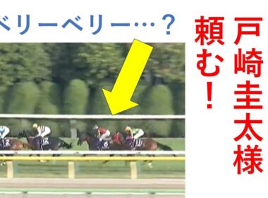 天皇賞秋は戸崎圭太、リーディンジョッキー頼む！ 毎週150万円勝負男の激闘譜2025　2025年11月2日